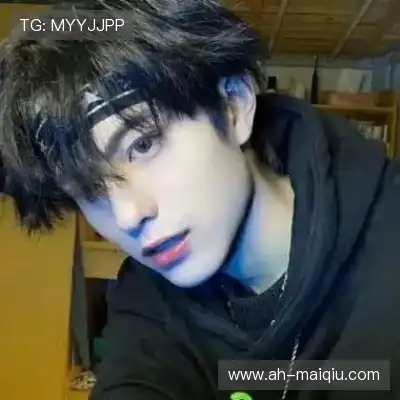 何鹰辉